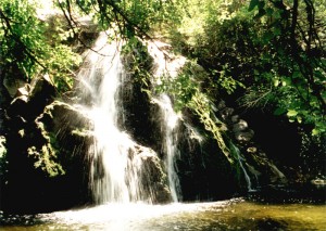 La Cascada en Santa Rosa