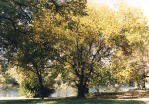 Rivera del río Santa Rosa