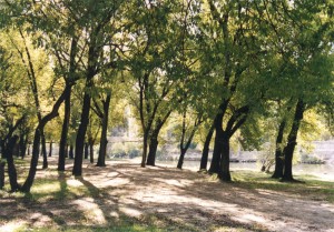 Zona Puente Colgante